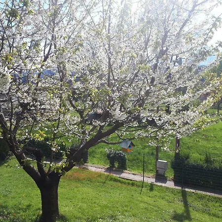 Casa Bartula Tatil Evi *